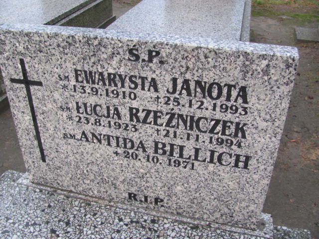 Anna Rzeźniczek 1923 Bieruń Stary Bartłomieja Apostoła - Grobonet - Wyszukiwarka osób pochowanych